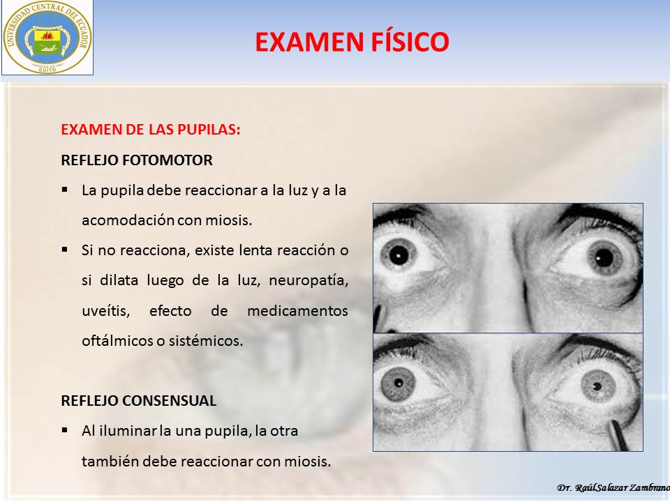 Diapositiva33-2