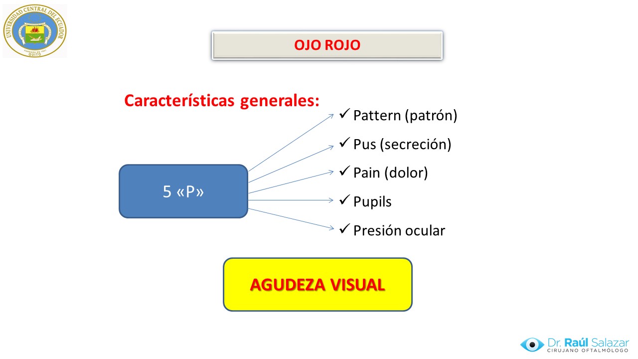 Diapositiva4