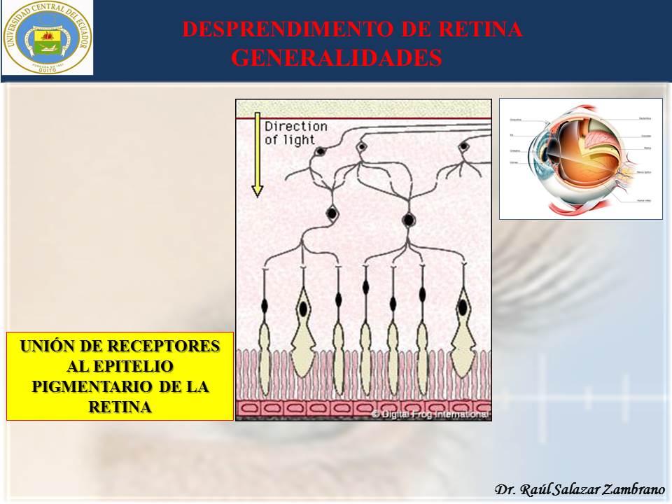 Diapositiva5-3